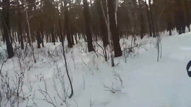 Проверка лыж перед скиатлоном смотреть онлайн