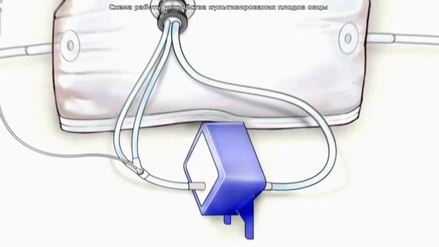 Искусственная Матка: устройство культивирования плодов овцы Еще шаг к искусственному воспроизведени смотреть онлайн