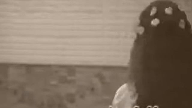 Школа #9 / Первый выпуск 3 / Вручение аттестатов