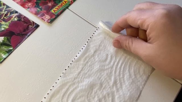 Поездка в Солонешное в лесхоз. Снова сею цветы любимым способом. Ремонт пристроя продолжается смотреть онлайн