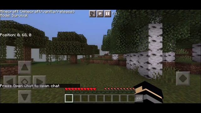 Debug Screen For Version 1.18+ | (Java Debug Screen Addon!) смотреть онлайн