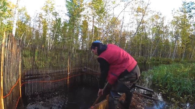 Хантыйская мордушка, Ловушка для рыбы по древнему смотреть онлайн