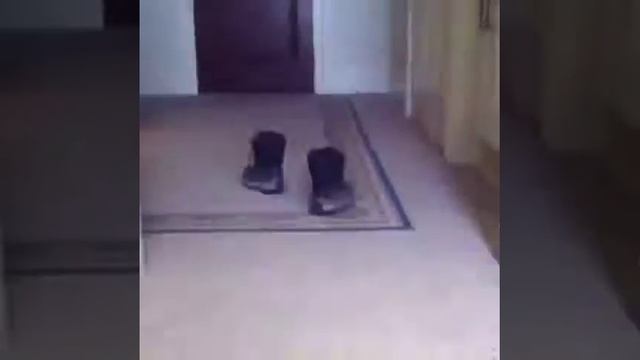 Сапоги-самоходы смотреть онлайн