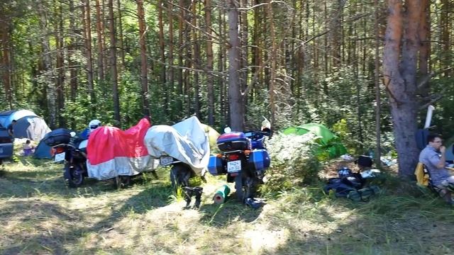 "FOLK SUMMER FEST 2014 "Гусь Хрустальный.Лагерь К.А.М.А.тозников поляна. смотреть онлайн