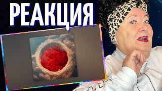 Ollane feat. TumaniYO - Hot Circle (Official Audio) РЕАКЦИЯ Hajime | REACTION смотреть онлайн