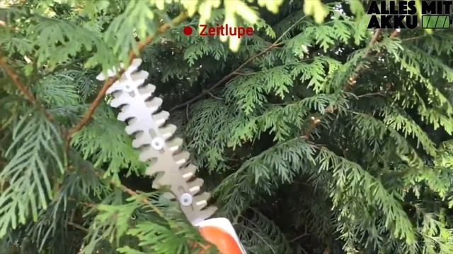 Stihl HSA 25 Gartenschere Test | ALLES MIT AKKU смотреть онлайн