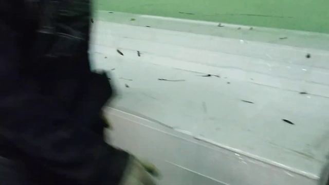 Декоративные карнизы из пенопласта для крепления на фасад дома, вот как выглядят заготовки смотреть онлайн