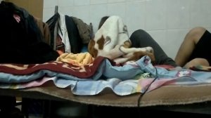 Сейчас по ЯЙЦАМ получишь!!!