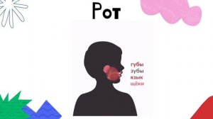 Наше питание