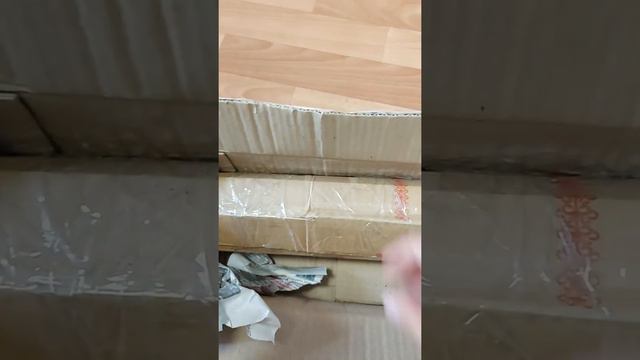 Алоказия Блэк Вельвет распоковка смотреть онлайн