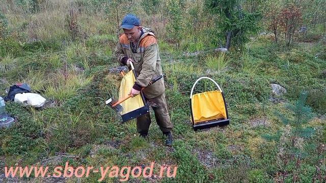 спец заказ сбор ягод www.sbor-yagod.ru смотреть онлайн