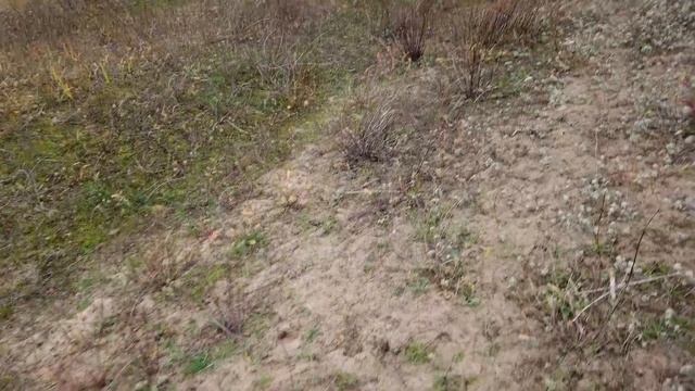 Дорога в Искру. Поехали за грибами. Логово кабана. смотреть онлайн