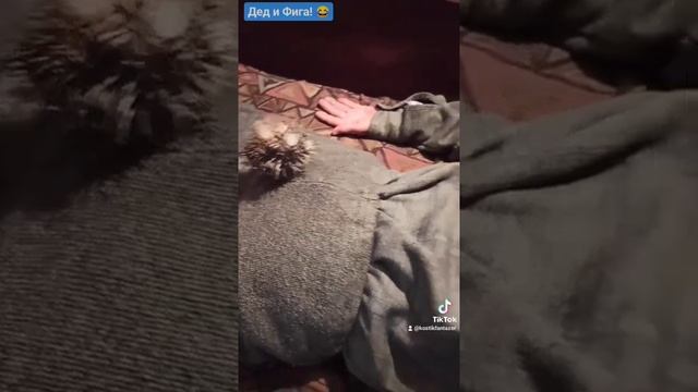 Дед и Фига! ? смотреть онлайн