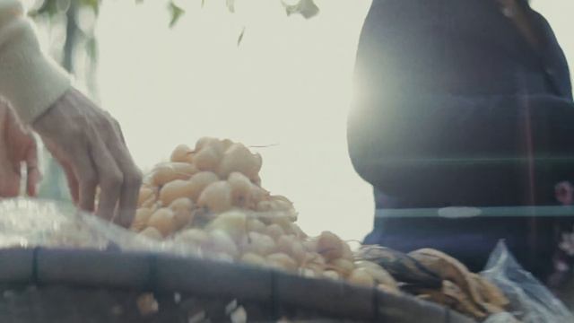 Nhà Tui | Home | Testing the anamorphic ISCO lens, смотреть онлайн