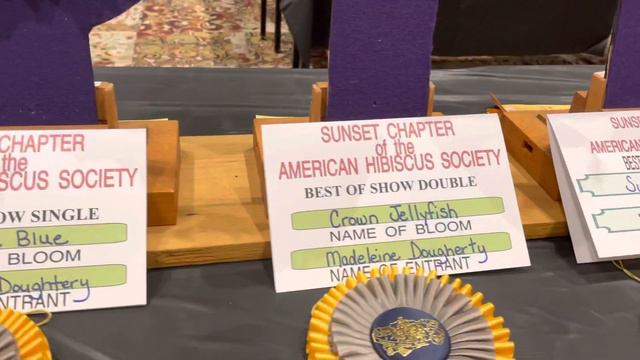 2021 Sunset Chapter Hibiscus Show смотреть онлайн