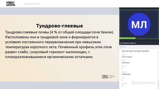 НШ | География. Тундрово-глеевые и подзолистые почвы. смотреть онлайн