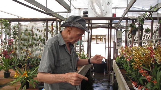 coltivazione orchidee una cosa molto importante ma difficile da spiegare смотреть онлайн