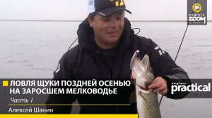 Ловля щуки воблерами поздней осенью на заросшем мелководье. Алексей Шанин. Часть 1
