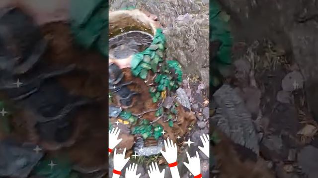 Хотел бы ты здесь жить? смотреть онлайн