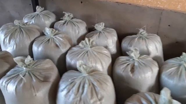BD60 Biogumus savdosi boshlandi. 2tonna sifatli biogumus koʻchat yetishtirish uchun joʻnatildi. смотреть онлайн