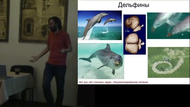 Станислав Дробышевский. Неизбежен ли разум?