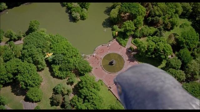 Stuart Little And The Falcon's Fight Scene