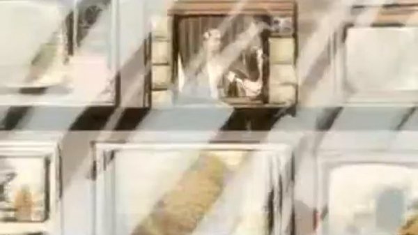 Handlebars by Flobots