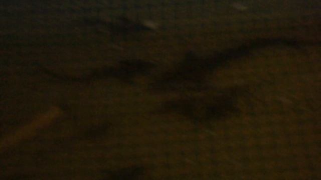 Устройство, принцип работы простейшего домашнего УЗВ смотреть онлайн