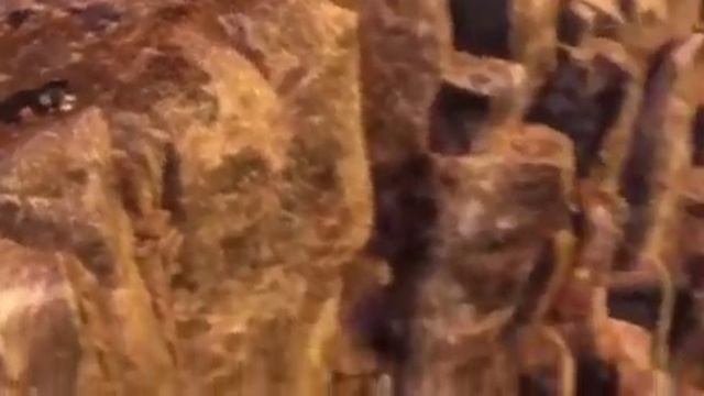 МУЛЬТФИЛЬМ ХРАБРАЯ СЕРДЦЕМ✨Песня Мериды "Небо крыльями обнять" смотреть онлайн