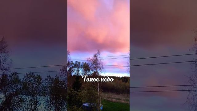 Закат на даче #shortvideo #закат #дача #sunset #хочуврек #хочувтренды #дачасадогород #short смотреть онлайн