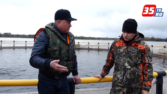 На российских прилавках появится вологодская форель смотреть онлайн