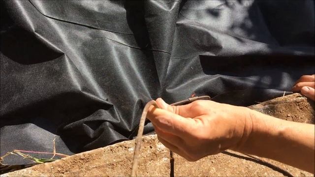 КАК СДЕЛАТЬ ГРЯДКУ ПОД КЛУБНИКУ ОСЕНЬЮ / ПОСАДКА КЛУБНИКИ НА АГРОВОЛОКНО смотреть онлайн