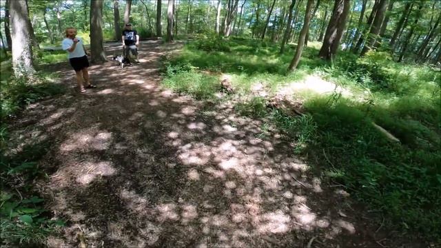 Bit by a VENOMOUS SNAKE!!! (Caught on camera!) смотреть онлайн