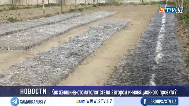 Как женщина-стоматолог стала автором инновационного проекта? смотреть онлайн