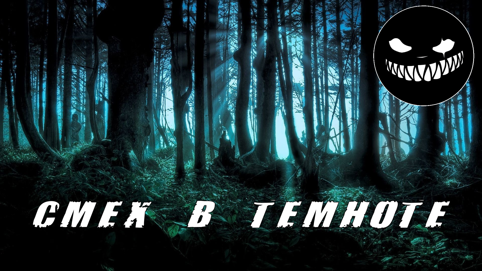 Страшные Истории. СМЕХ В ТЕМНОТЕ. Ужасы.mp4 смотреть онлайн