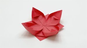 Лотос Оригами цветок  из бумаги. Оригами поделки и схема сборки поделок