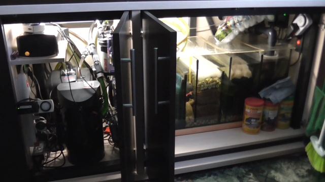 Отключение систем жизнеобеспечения аквариума (ЛЕНЭНЕРГО законы не писаны) смотреть онлайн