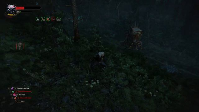 {Witcher 3: Ghost Mode} - Mission: Practicum in Advanced Alchemy смотреть онлайн
