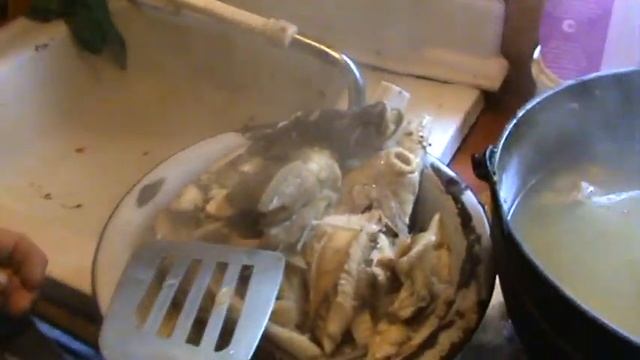 уха из стерлядки.... смотреть онлайн