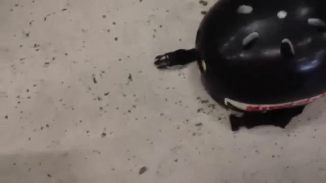 Новые находки гавна смотреть онлайн