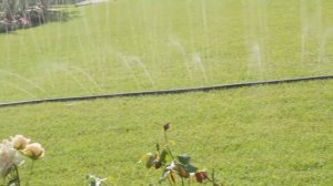 Система полива "Туман" в действии