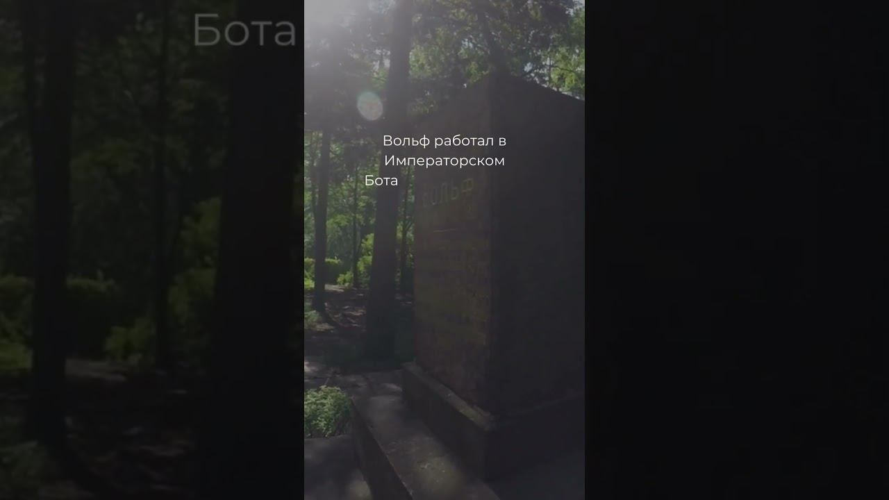 Памятники парка Санкт-Петербургского государственного лесотехнического университета смотреть онлайн