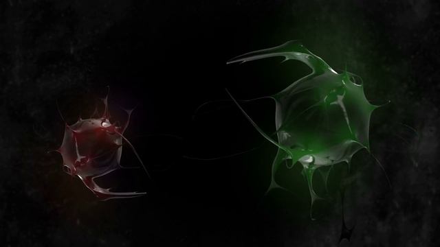 Light Spiders смотреть онлайн