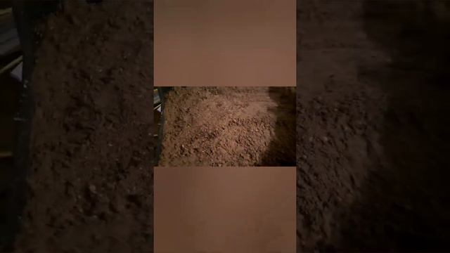 ЯК РОЗМНОЖИТИ ЛОХИНУ САДОВУ В ДОМАШНІХ ЗИМОЮ. РОЗМНОЖЕННЯ ЗДЕРЕВІЛИМИ ЖИВЦЯМИ. смотреть онлайн