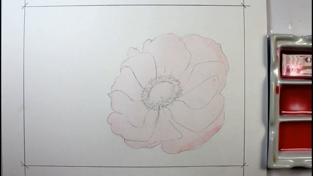 Beginners step by step painting and drawing. Anemone in watercolour. смотреть онлайн