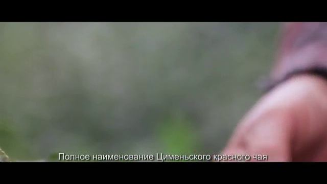 Qimen Black Tea in Russian смотреть онлайн