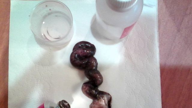 Как красить брови и ресницы дома смотреть онлайн