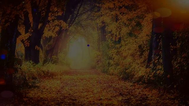 MEDITATION MUSIC | SLEEP HYPNOSIS | HEALING MUSIC | SLEEP MUSIC | RELAX MUSIC | DEEP SLEEP MUSIC
