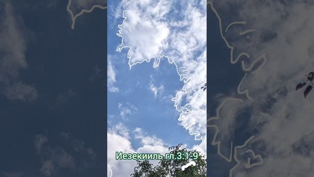 354?Видение на небе в тучах "Сион", Сон "Гладкие камни закончились!" смотреть онлайн