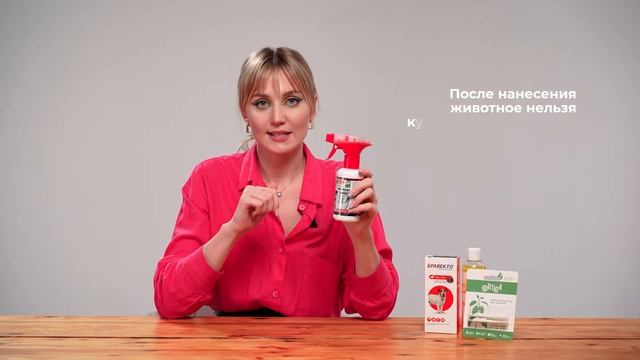 Блохи и клещи / Чем обработать кошку и собаку / Саша знает смотреть онлайн